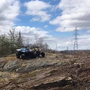 Meet your Posher, Shawn